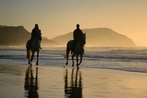 Horseback Riding on the Beach in New Jersey