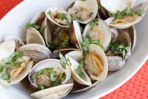 The Best Clam Spots In Point Pleasant