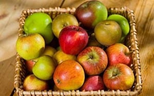 Apples NJ produce 