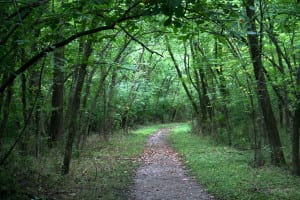 best-hiking-trails-in-nj-buttermilk-falls