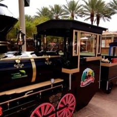 All Aboard! The Top 3 Train Rides for Kids in NJ