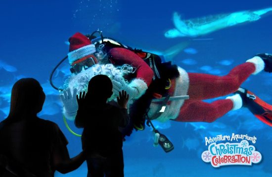 Adventure Aquarium 2015 Christmas Activities