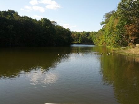 Mountain Lake Open Space Area Outdoor Places to go in Princeton NJ