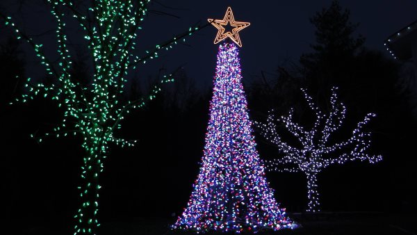 Lights On Evergreen Holiday Light Display in Demarest NJ