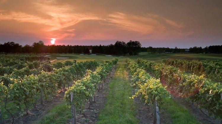 Renault Winery - Definitive Guide to Wine Tasting in NJ