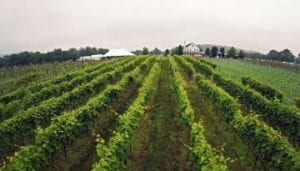 Wine Tastings NJ