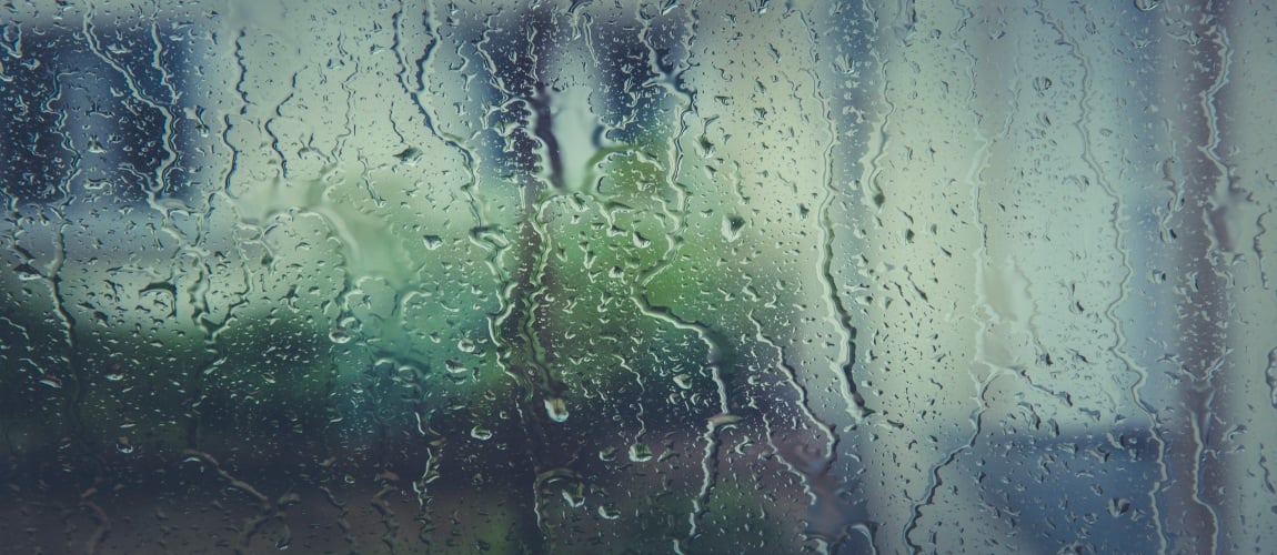 Rainy Day Guide: What to Do When It's Raining in Delaware