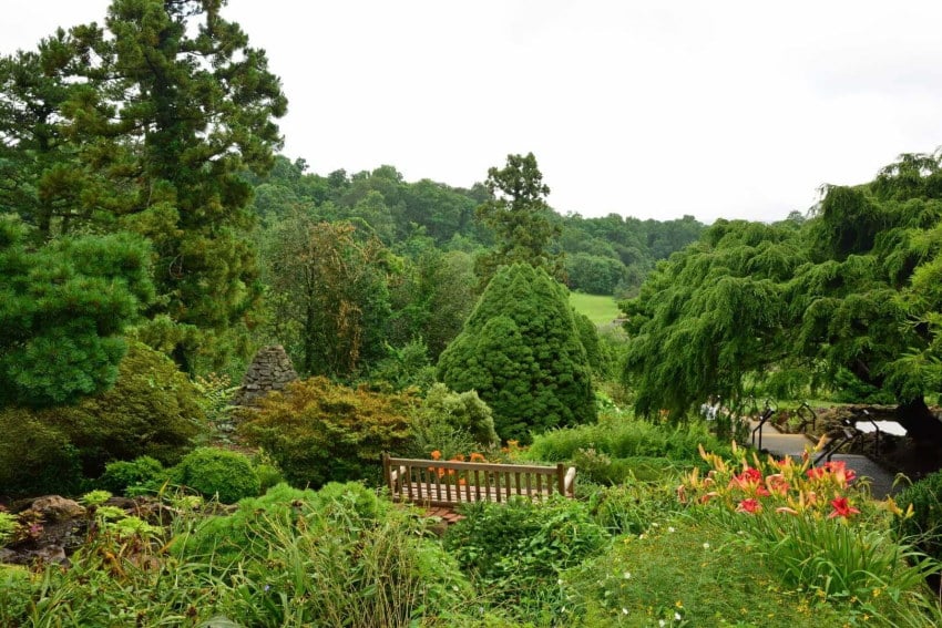 Image of a lush greenery at deep cut gardens in Middletown NJ